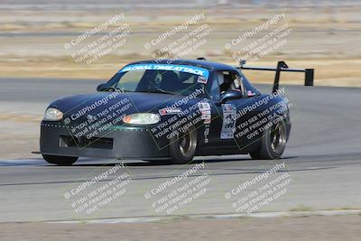 media/Nov-11-2023-GTA Finals Buttonwillow (Sat) [[117180e161]]/Group 4/Close Ups/